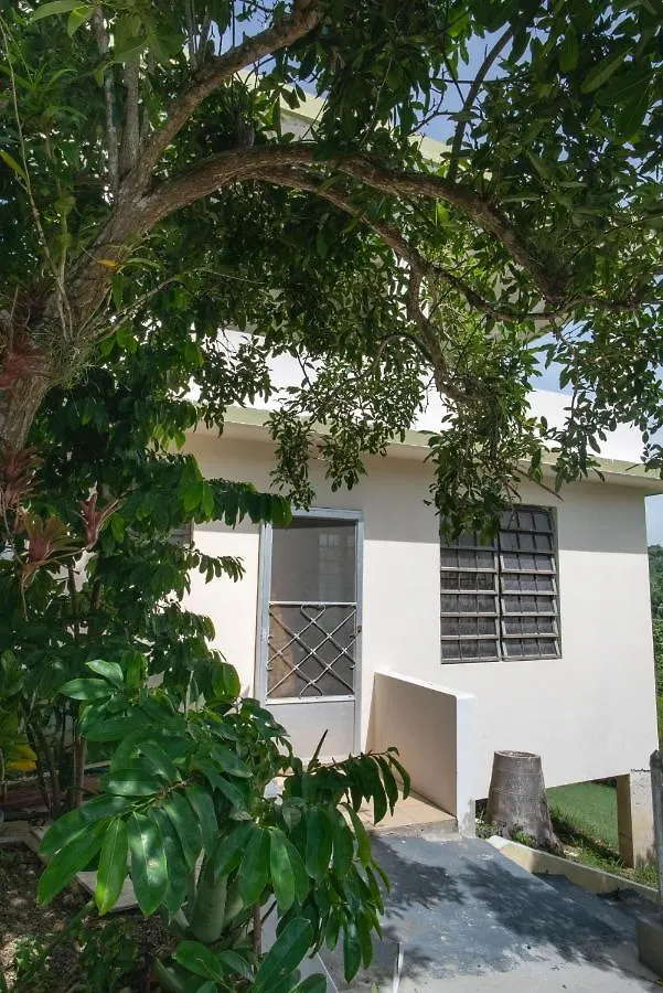 Senderos 4 A Cozy Studio 4 Min From The Beach 林康 0*,  波多黎各