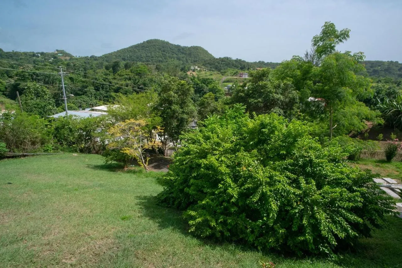 Senderos 4 A Cozy Studio 4 Min From The Beach 林康 波多黎各
